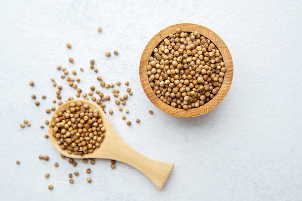 قیمت خرید تخم گشنیز با کیفیت با فروش عمده
